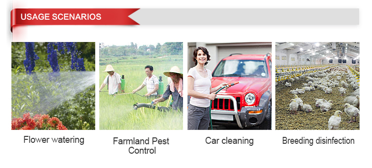 20L Agricultural Manual Air Pressure Knapsack/Backpack Brass Pump Cylinder Sprayer (SX-LK20U)