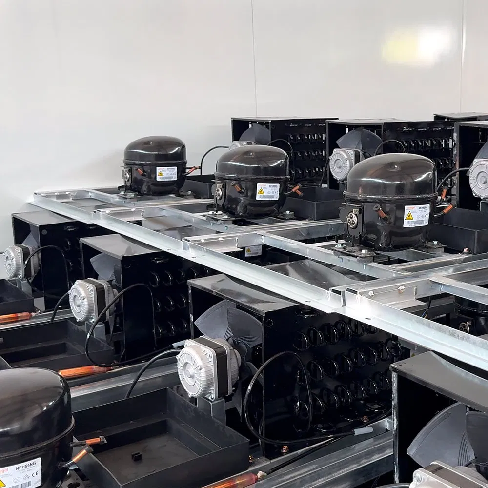 Refrigeration Equipment Freq. 60 Displ. 3.4cm3 Model Nll155D Accessories