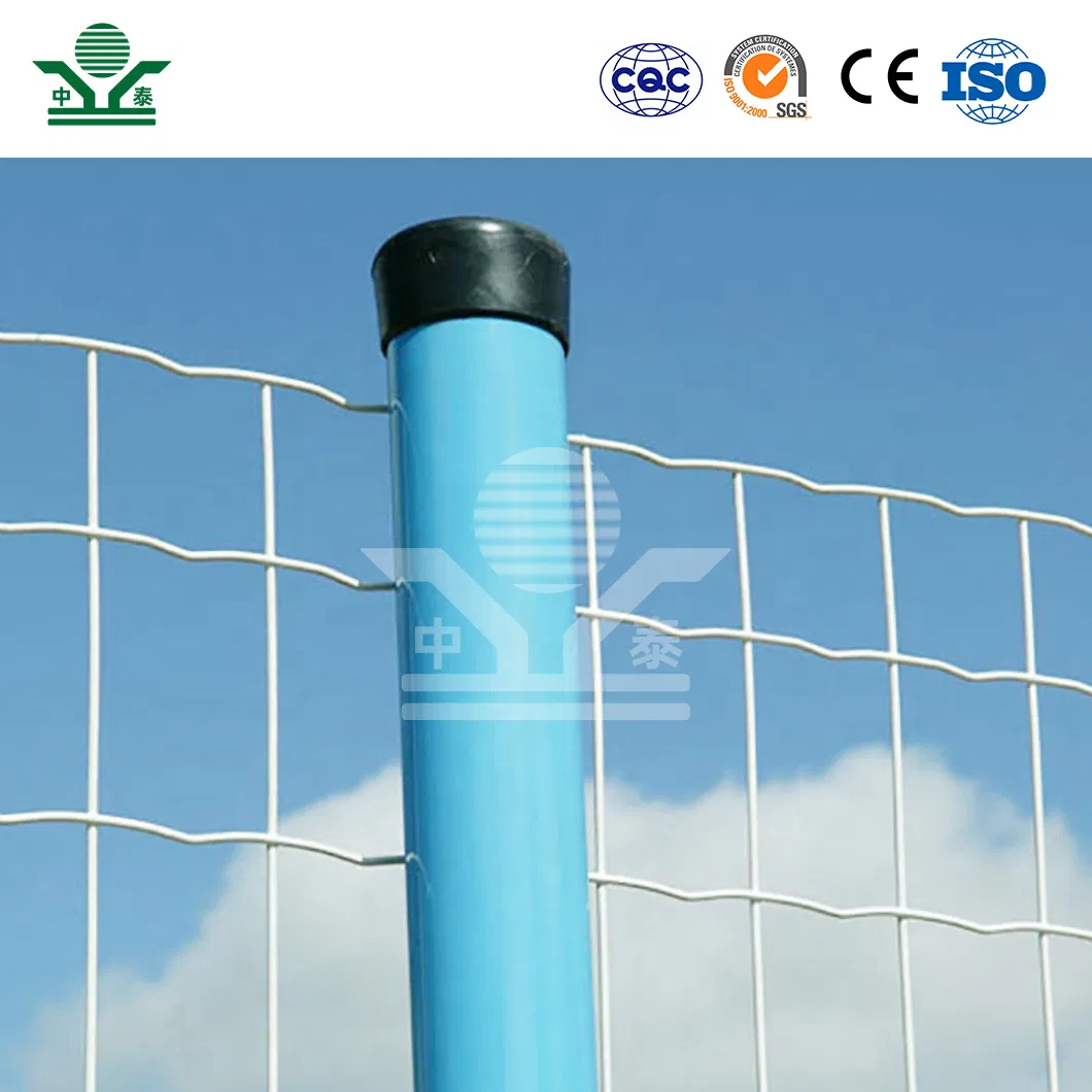 Zhongtai Plastic Coated Dutch Fence China Manufacturing Stadium Fence Wire Mesh 2X3 Inch Dutch Perimeter Fencing