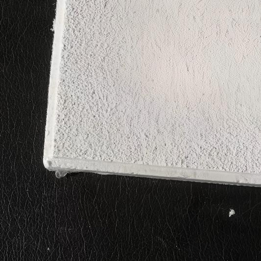 Reliable Mineral Fiber Board - 1195mm Length 595mm Width