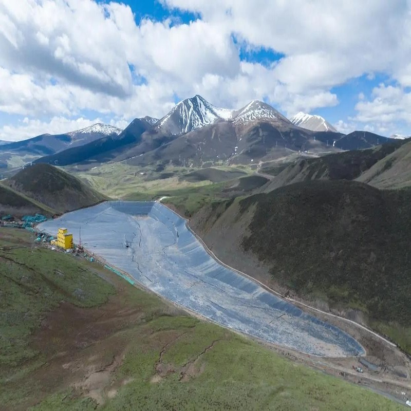 Plastic Film Liner 0.5mm/1mm/2mm HDPE/LDPE/LLDPE/PVC Geomembrane for Pood/Lake/River/Aquaculture/Dam/Landfill/Fish/Farming Tank Price