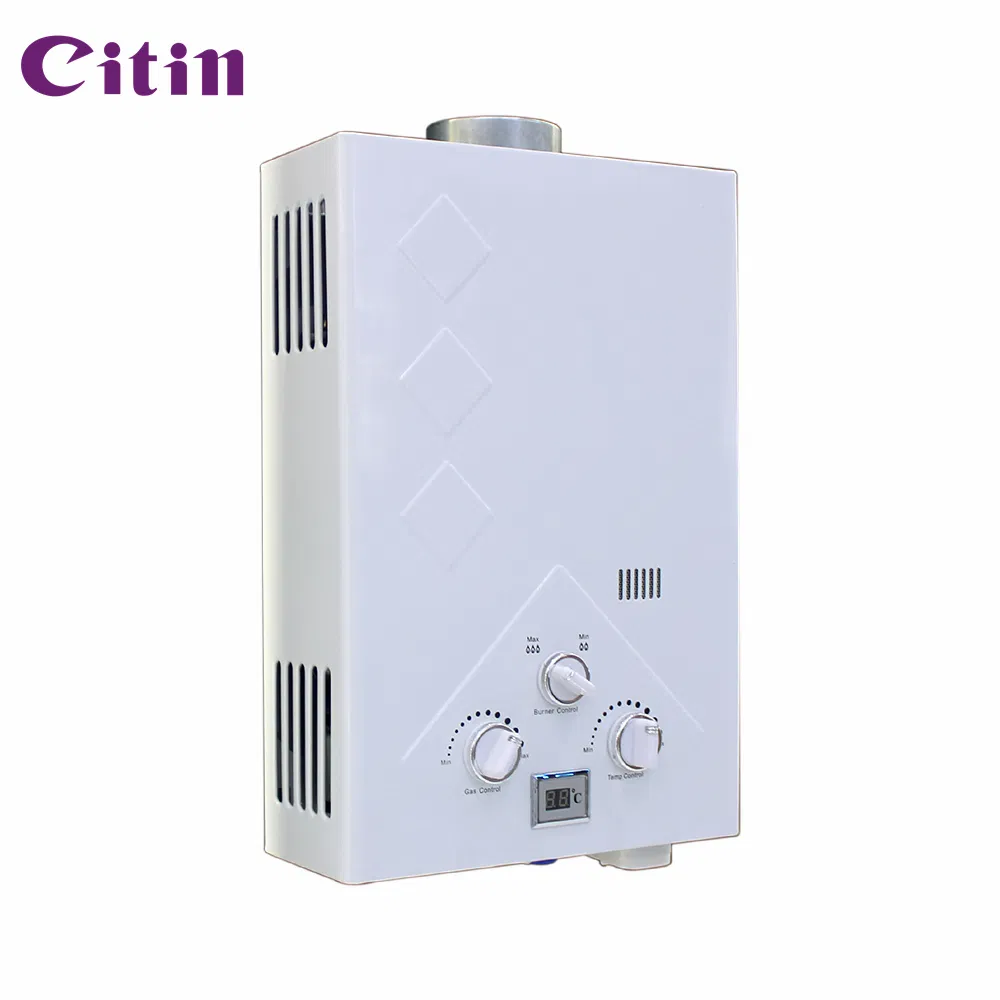 High-Perforamance Manual Control Flue Type Hot Water Heater 6-12L Capacity Copper Technology