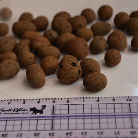 Light and Porous Substrate Expanded Clay Pellets