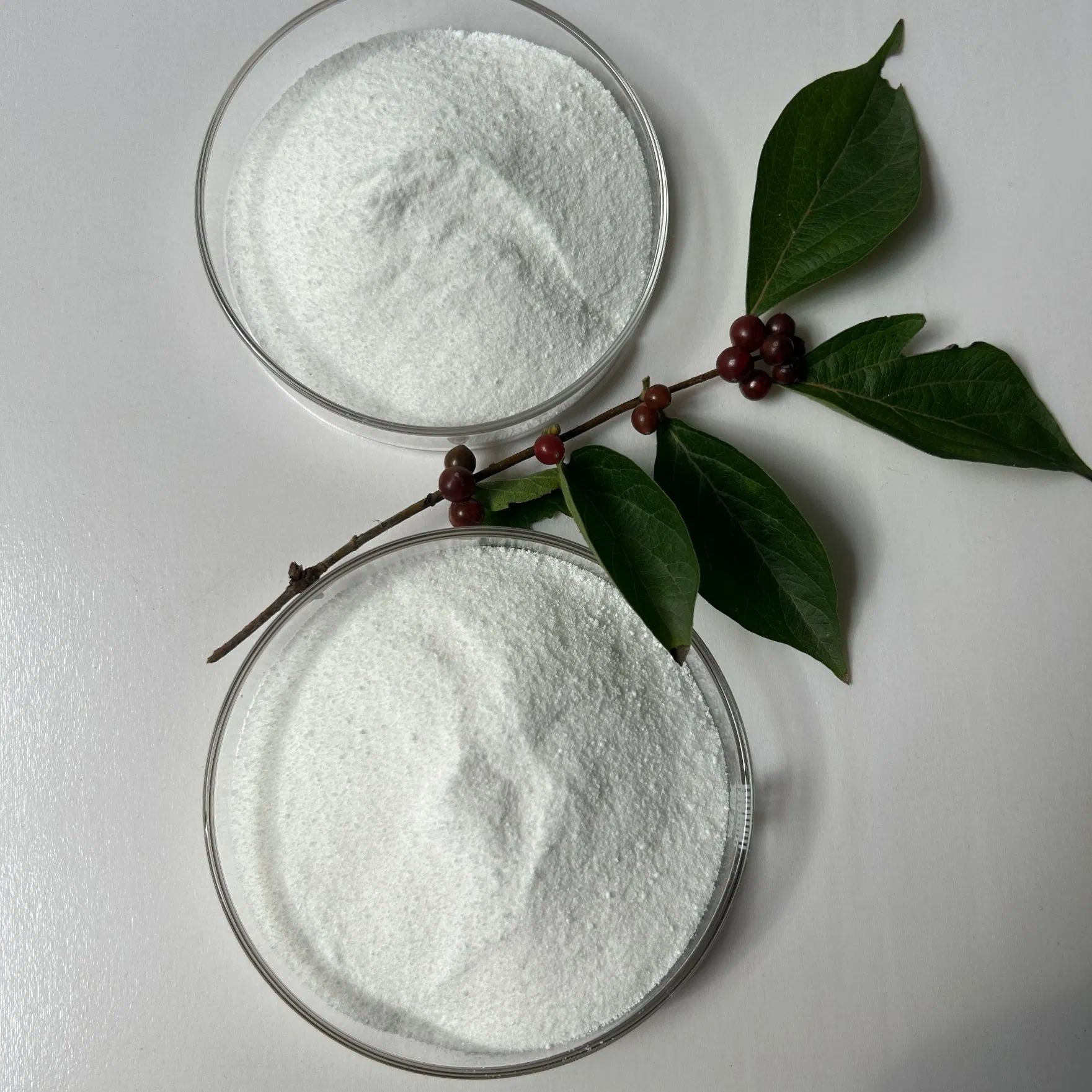 CAS No. 527-07-1 Factory Supply Industry Grade Sodium Gluconate for Used for Retarding Effect