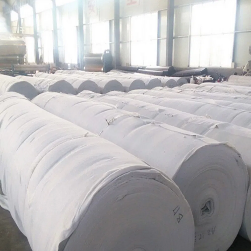Nonwoven Woven Geotextiles Made From PP and Pet