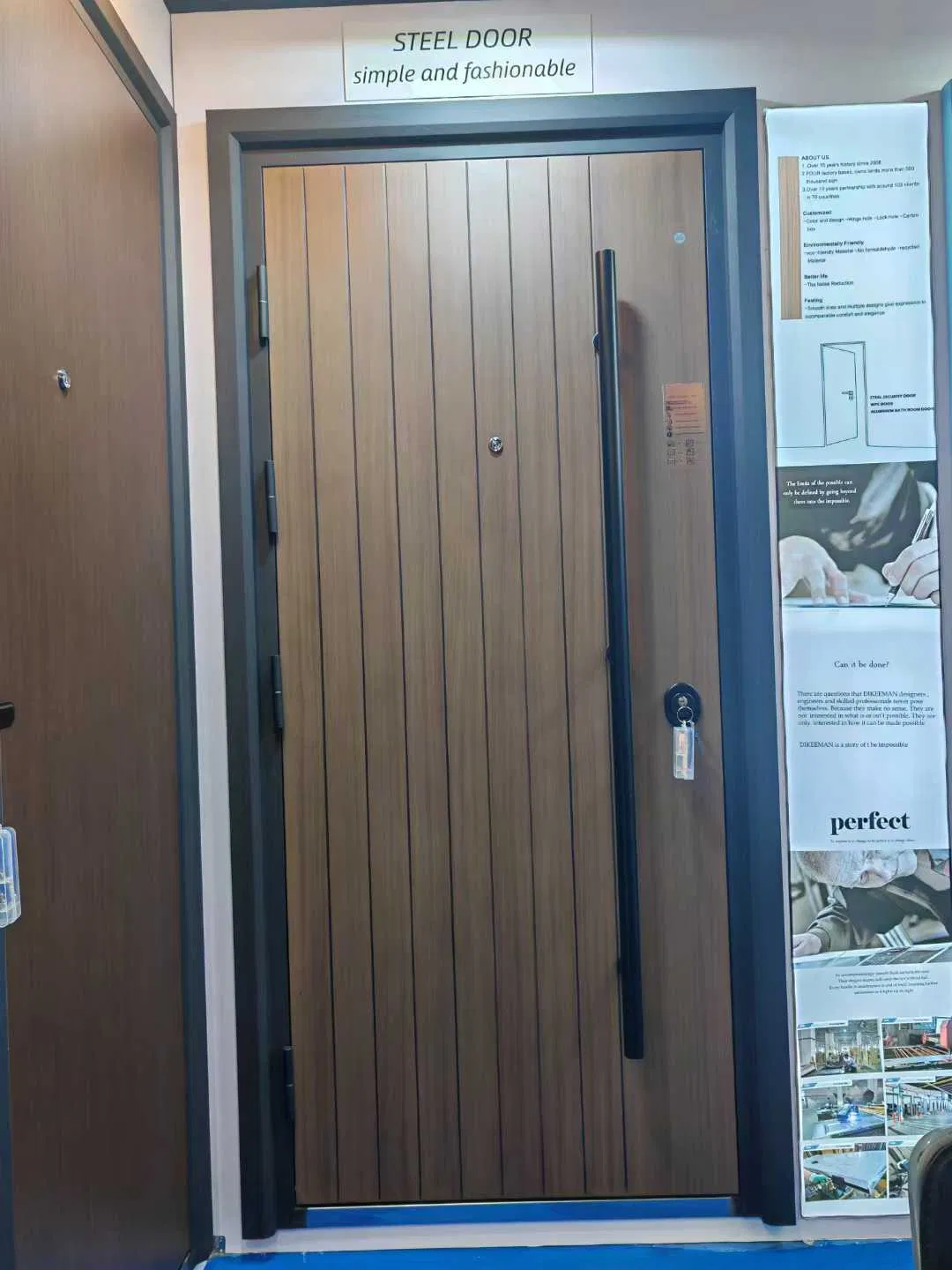 Exhibition Show China Factory Modern Steel Security Door Newest Design Exterior Door Security Door for House for Entry & Entrance