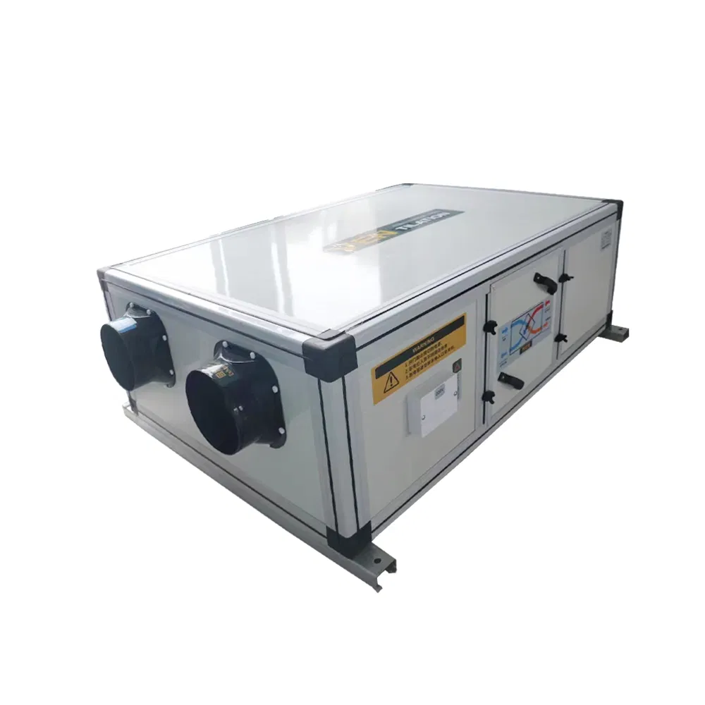 Customizable Total Heat Exchange Fresh Air Ventilator Commercial Energy-Saving Recuperator