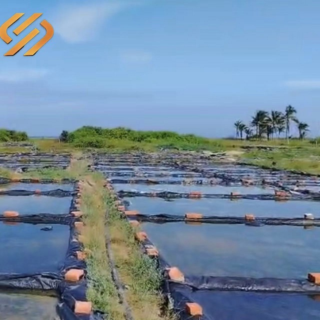 0.5mm/0.75mm/1.0mm/1.5mm/2.0mm ASTM Impermeable Waterproof HDPE Geomembrane for Tailing Storage/Landfill/Lake/Biogas/Mining/Fish/Shrimp Pond