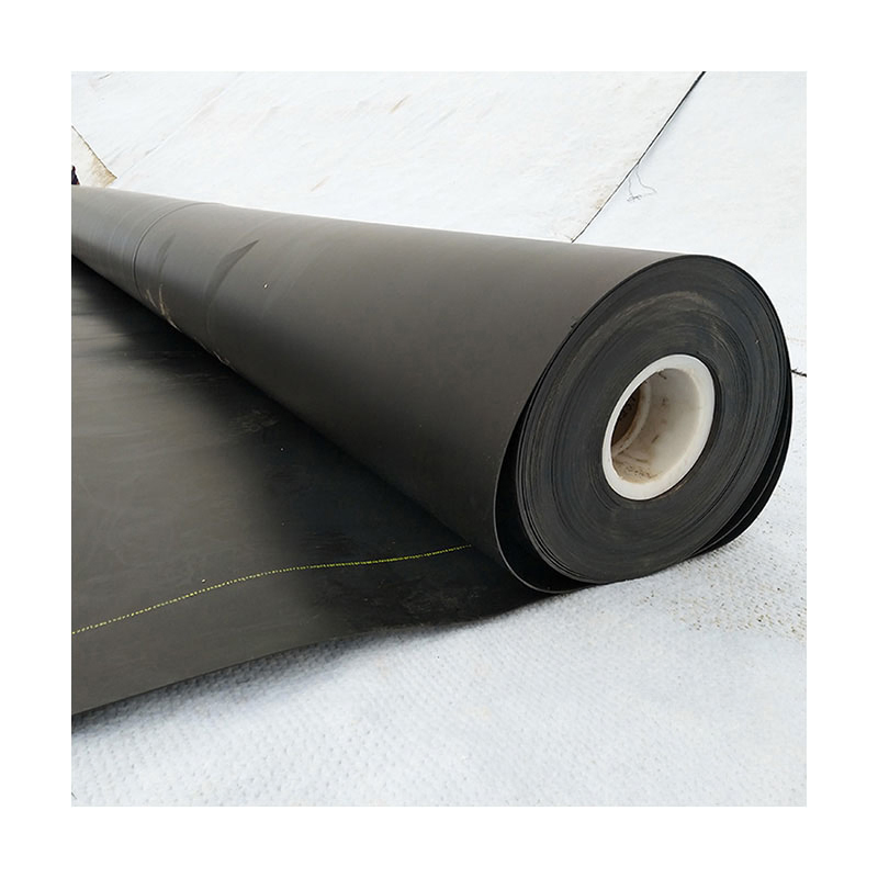 1mm 2mm Waterproof Geomembrane Sheet Plastic Artificial Lake Dam Liner Swimming Pool HDPE Geomembrane