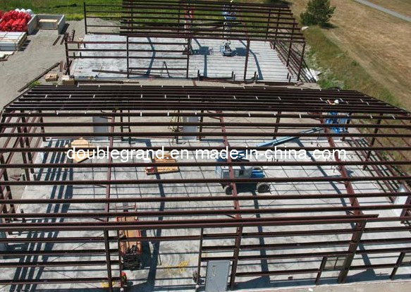 China Prefabricated Steel Structure Building/Workshop/Warehouse/Hanger/Shed (DG3001)