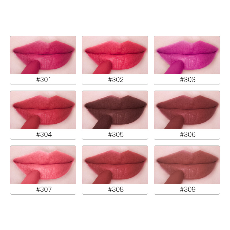 Dsm All Day Wear Long Lasting Matte Velvet Lip Makeup Lipstick