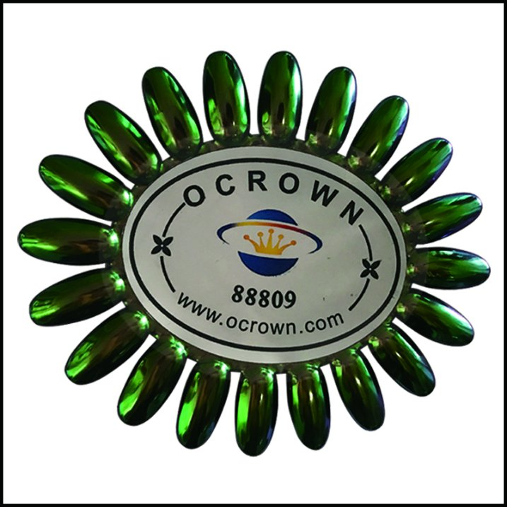 Chameleon DIY Manicure Glitter Chrome Shinning Mirror Nail Art Pigment