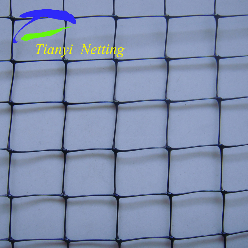 10GSM Planting Net/Plant Support Net, to Support Crops as Peas, Beans etc.