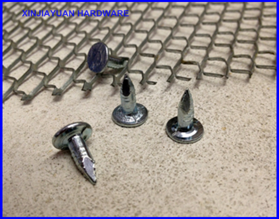 Large Head Masonry Steel Nails Smooth Shank 1/2"