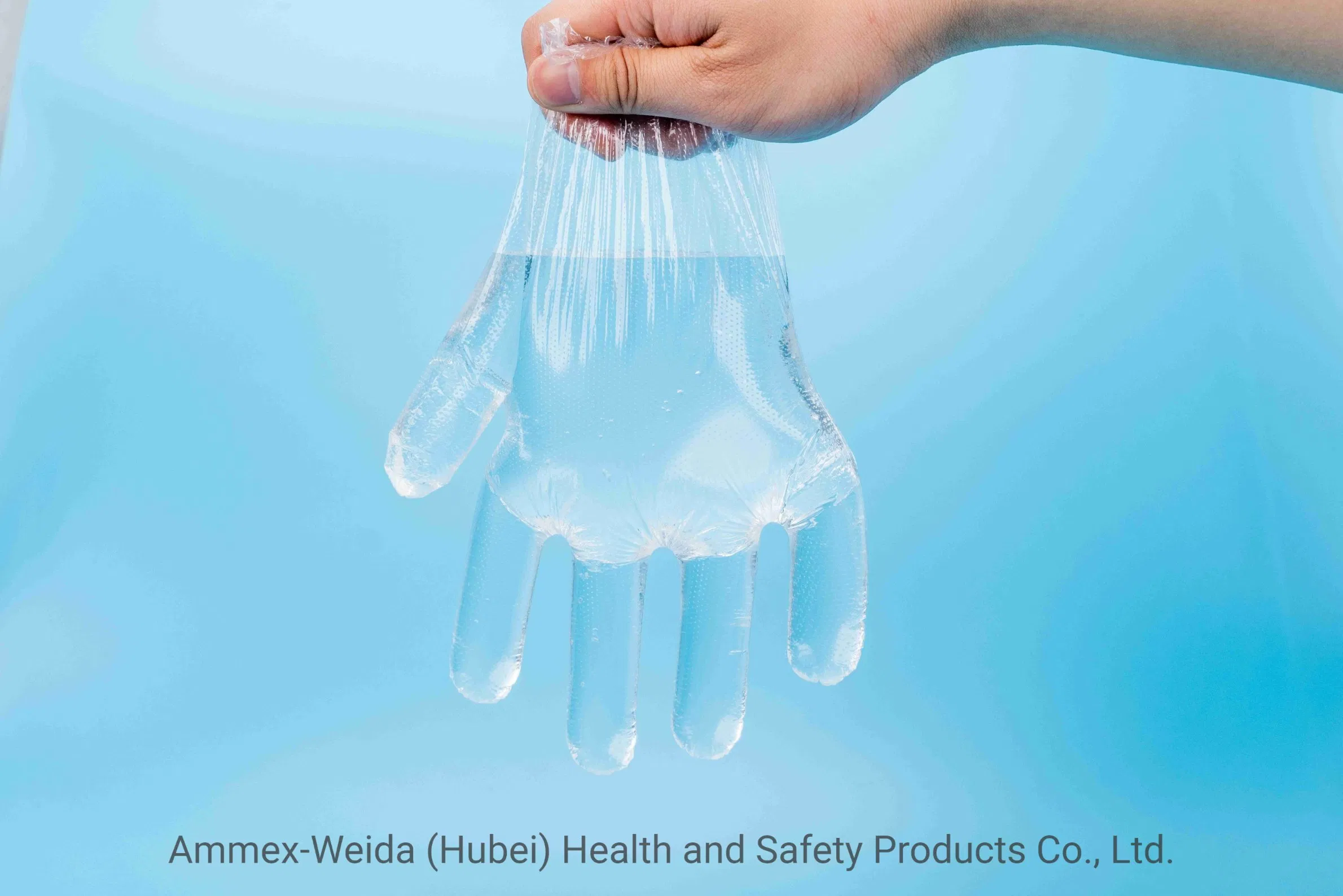 Non-Toxic Tear-Resistance Disposable Transparent PE Gloves Kitchen Use Oil-Proof Plastic Gloves