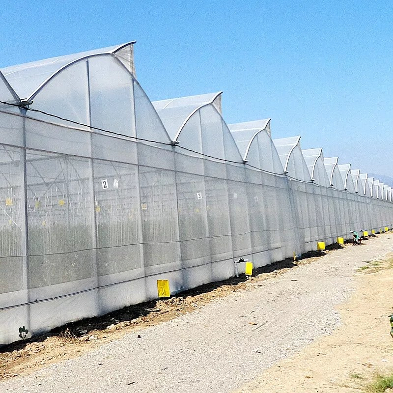 Po 150mic Warm Agro Multi Span Zigzag Agriculture Greenhouse for fruit Vegetables