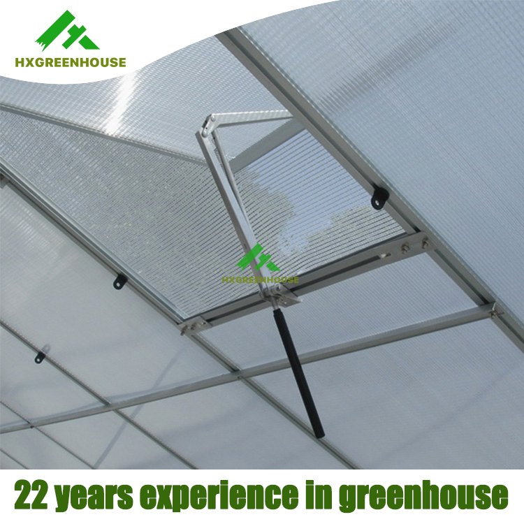 Electronic Aluminium Openerautomatic Solar Car Smoke Greenhouse Paper Linear Motor for Window Opener