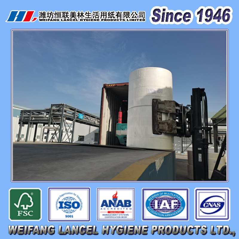 China Produce Tissue Paper Jumbo Roll for Toilet Paper/Toilet Tissue/Kitchen Paper Towel/Hand Towel