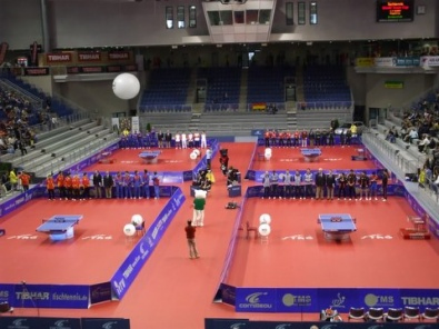 Flex Sports Mats for Gym Stadium