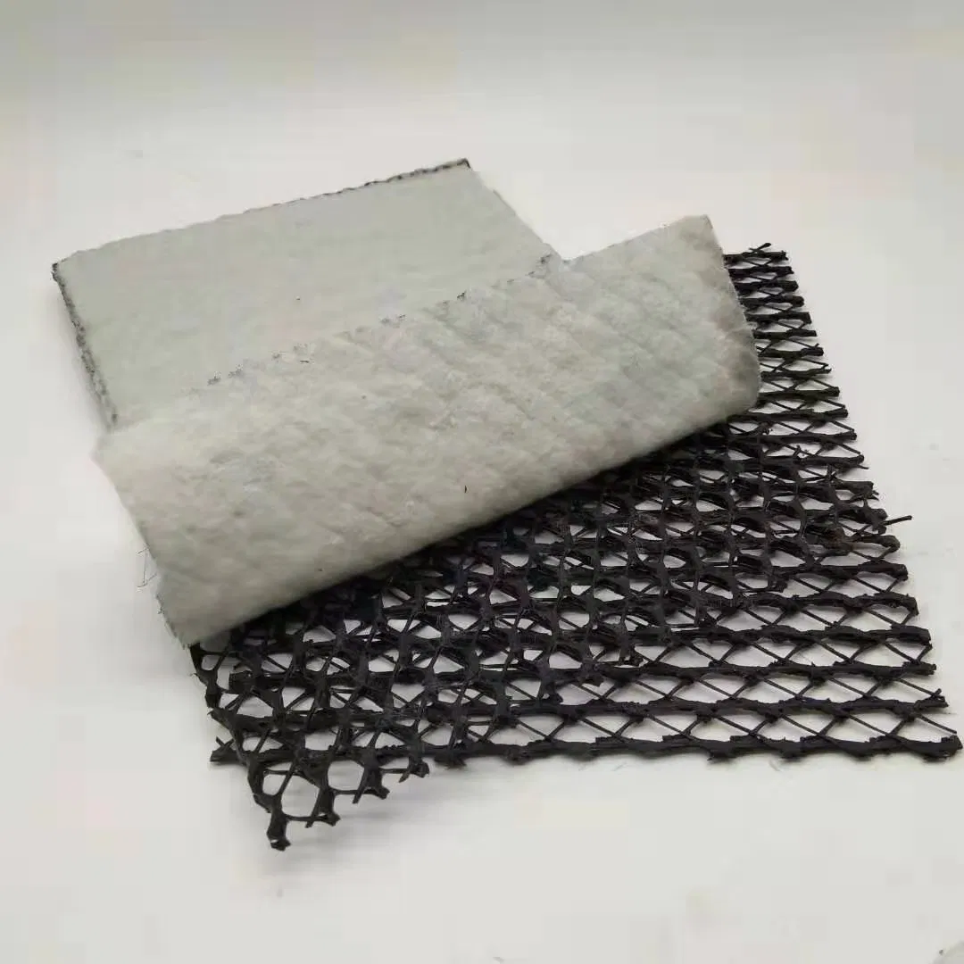 Factory Price Geonet Geotextile Composite Drainage Geonet for Landfill