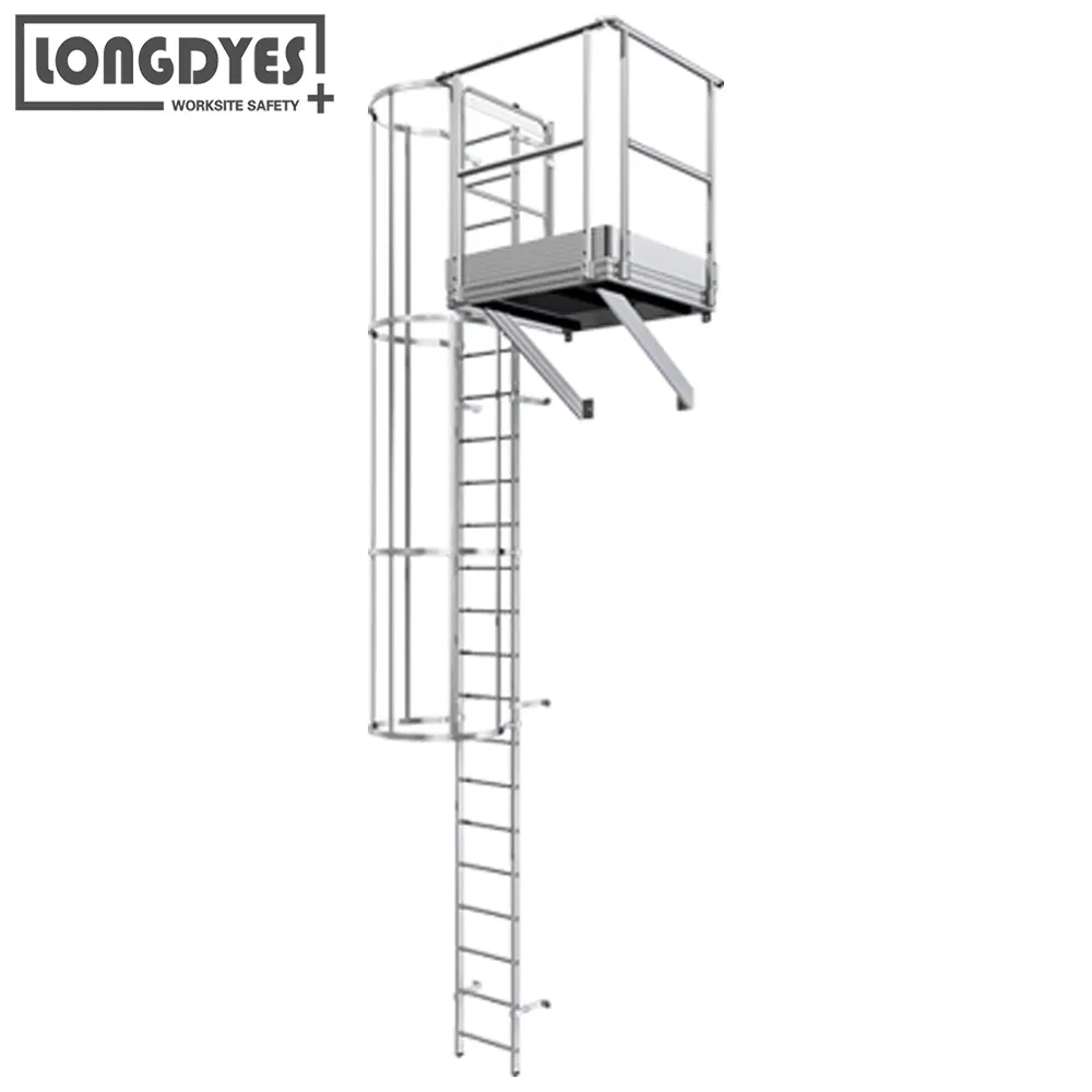 Tri-Arc Engineered Access Platforms Wall-Mount Aluminium Fixed Ladder