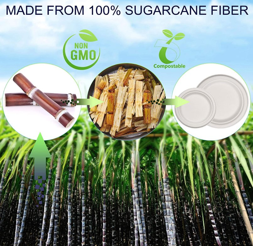 Disposable Natural Bagasse Eco-Friendly Compostable and Biodegradable PLA Cutlery Dinnerware Set