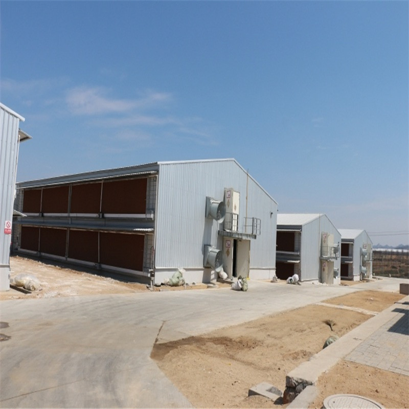 Insulated Automated Broiler/Layer Poultry Prefab Steel Frame Structure Shed Chicken House for Farm