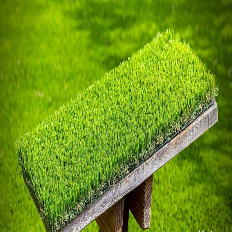 Premium UV-Resistant Green Shade Netting for Garden Use