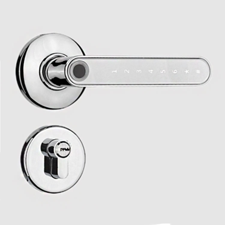 Fingerprint Password Electric Digital Lock Zinc Alloy Keyless Security Door Handle