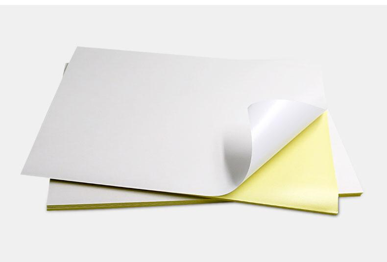 Cast Coated Sticker Paper with Gsf Brand or OEM