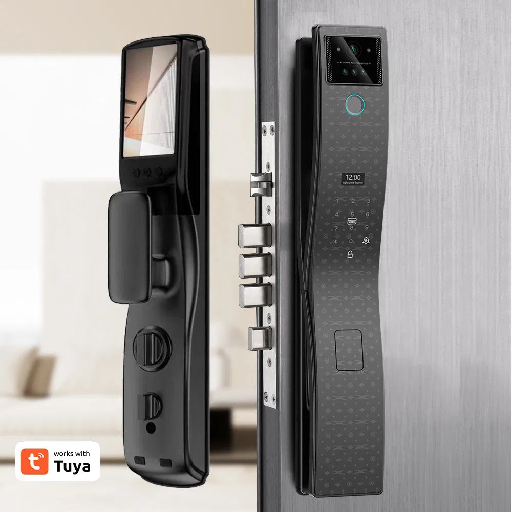 Leading Enterprises Video Call Integration Smart Lock for Luxury Villa