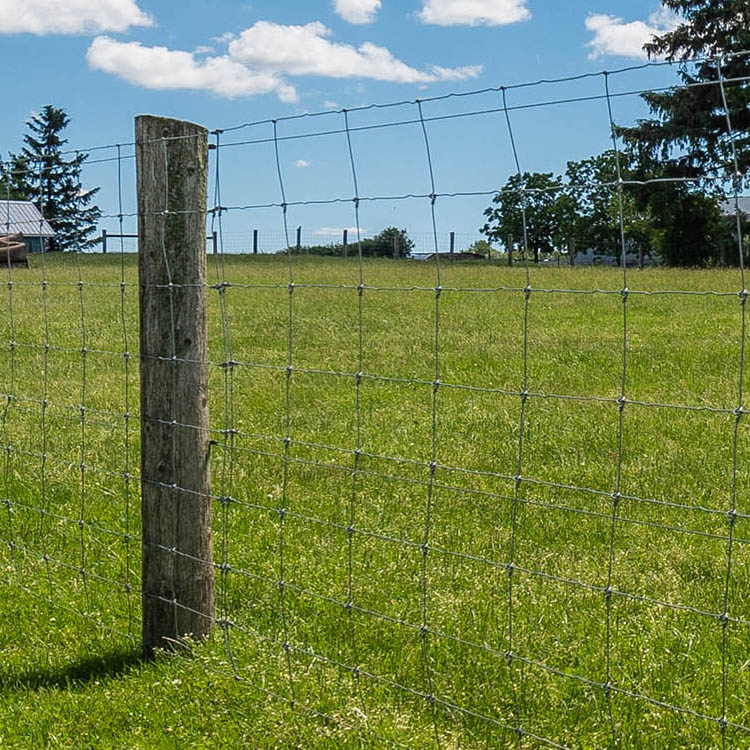 Strong Farm Fence Panels -- Heavy Duty Wire Mesh for Livestock Protection