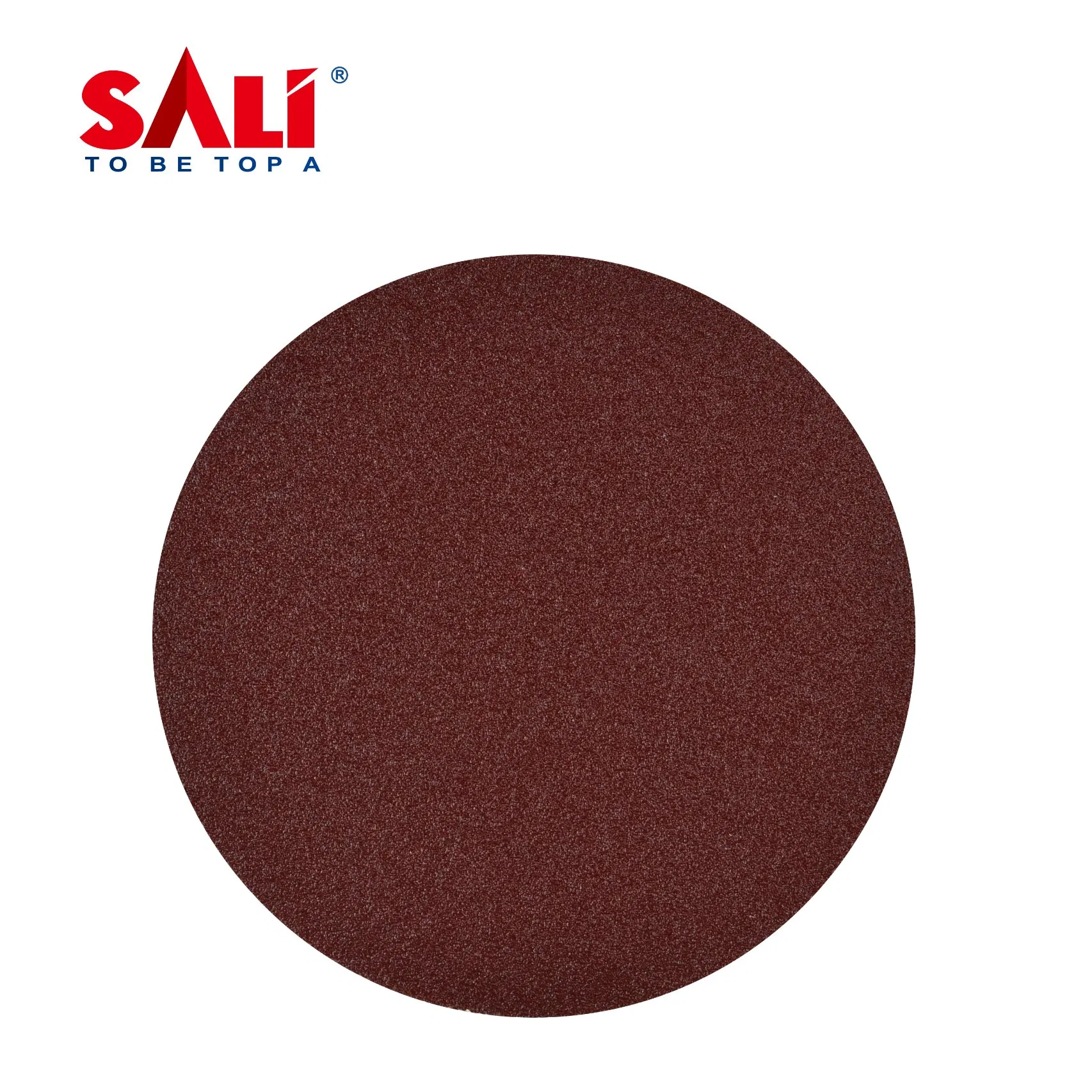 Sali Alumina Aluminum Oxide Sanding Velcor Disc for Metal