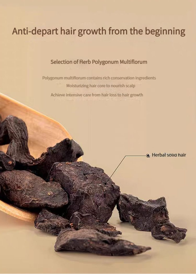 Custom Logo Herbal Repair Shampoo Moisturtzes for Oil Control and Nourishing