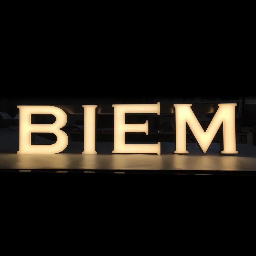 Custom Warm White LED Alphabet Letter Sign for Store