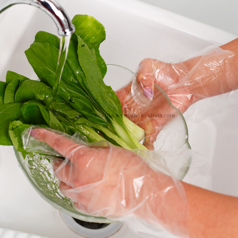 Transparent Plastic One-off Kitchen Gloves BBQ Household Garden Kitchen Accessories Gloves