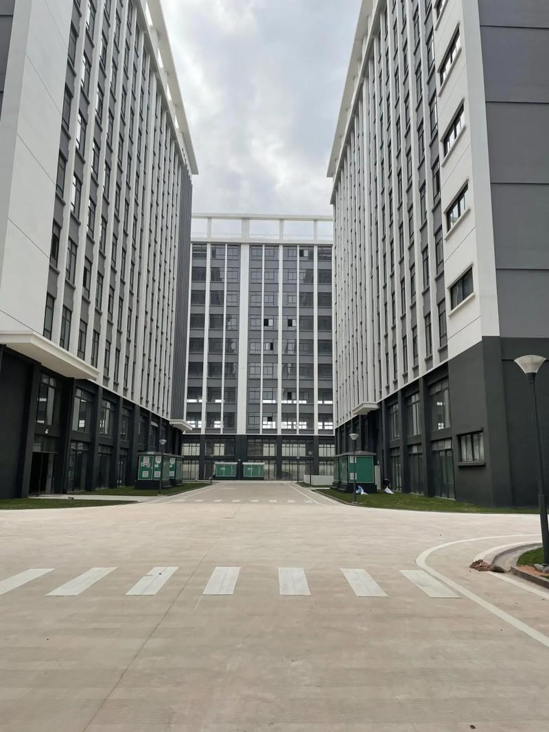 Multilayer Steel Structure Office Building Commercial Construction