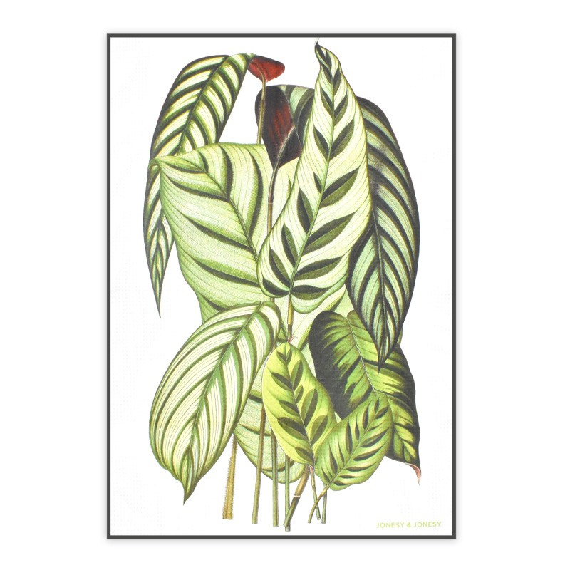 New Arrival 50*70cm Three Designs Kitchen Towel 100% Cotton Tea Towel Custom Digital Printing 250GSM Kitchen Tea Towel