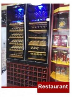 Single or Doubel Door Show Case Refrigerator Wine Cooler