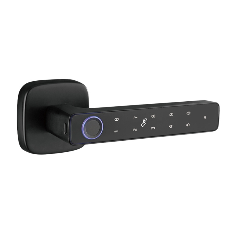 Multi-Factor Authentication Smart Lock with CS8 Technology