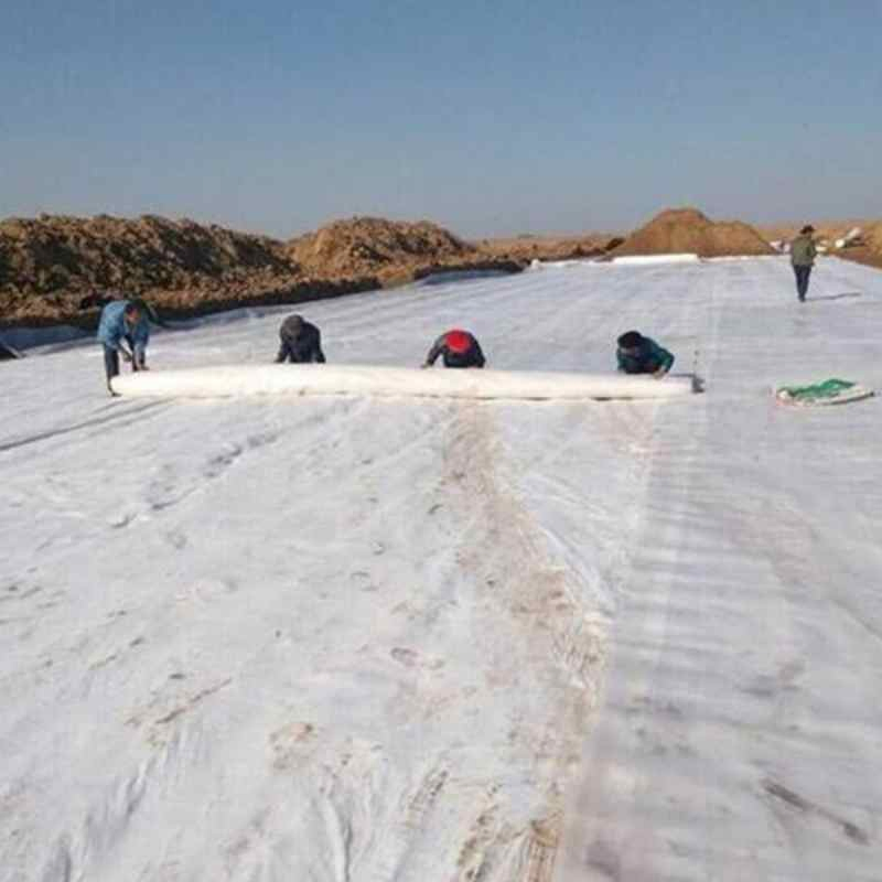 Composite Geomembrane - High Tensile Strength, Used for Slope Protection