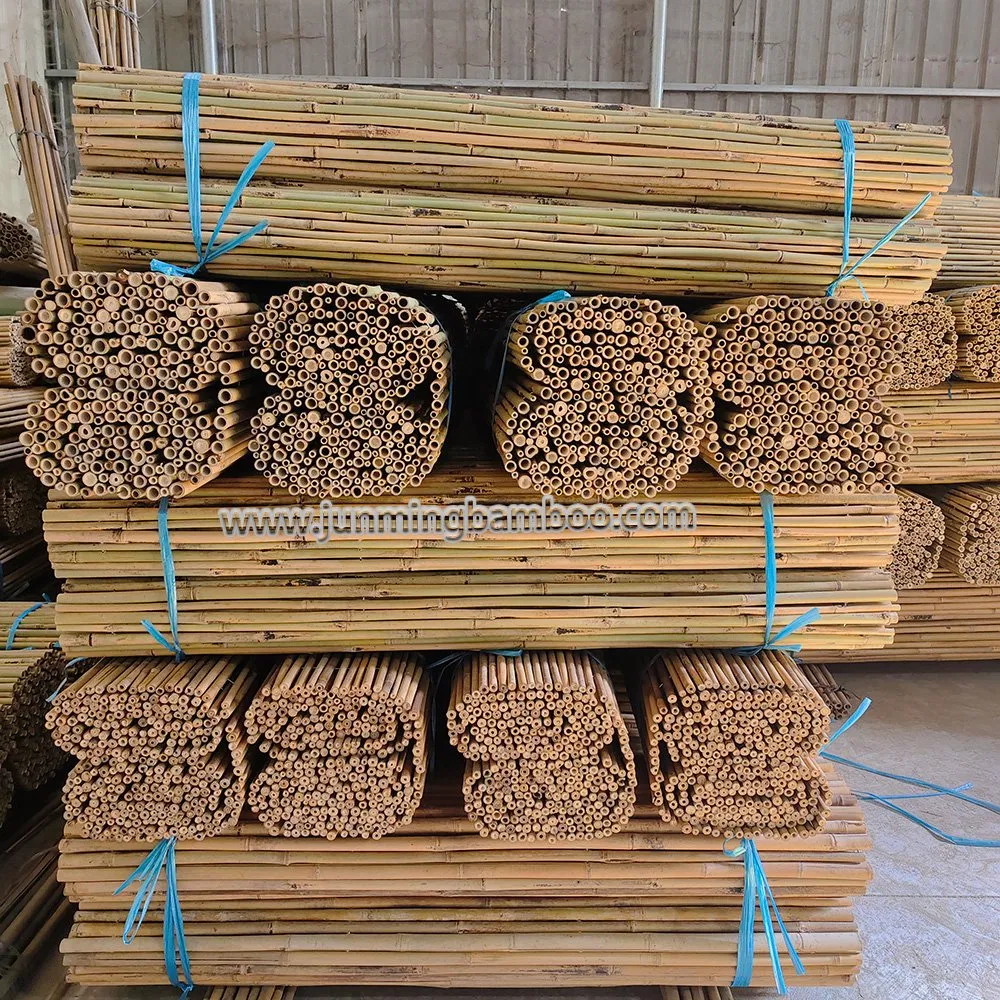 Wholesaler Best Selling Durable Bamboo Fences Natural Bamboo Fencing Garden Screen Rolled Bamboo Fence Panel Made in China