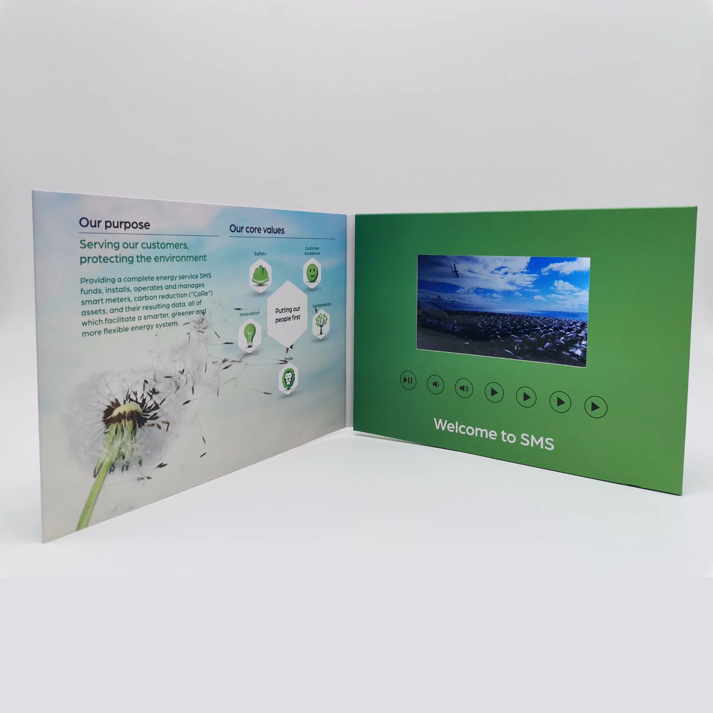 Newest Custom Design LCD Screen Video Card