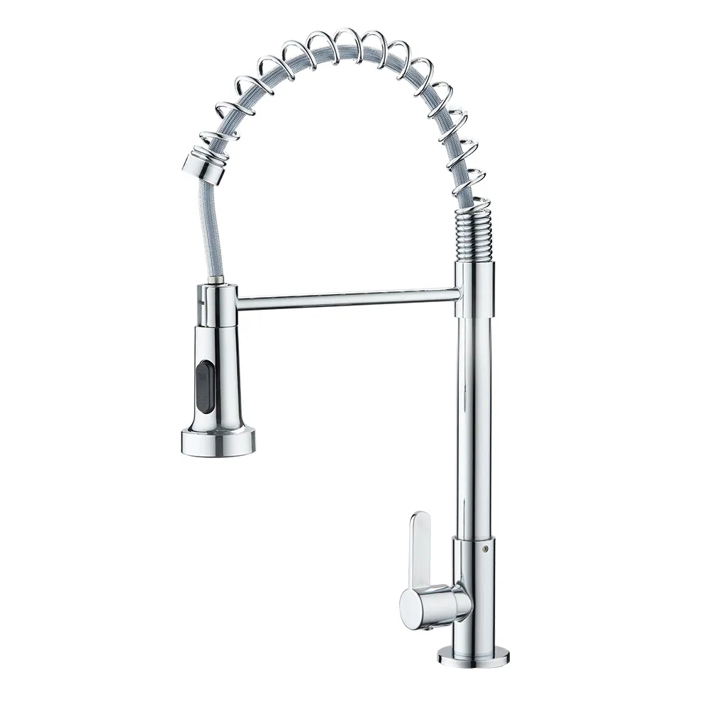 Gourmet Dual Function Kitchen Faucet Single Handle Chromed Stainless Steel Water Tap