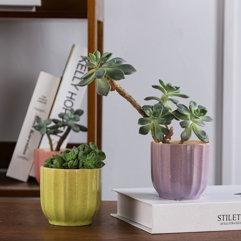 Горшки керамические многоцветные для дома сада