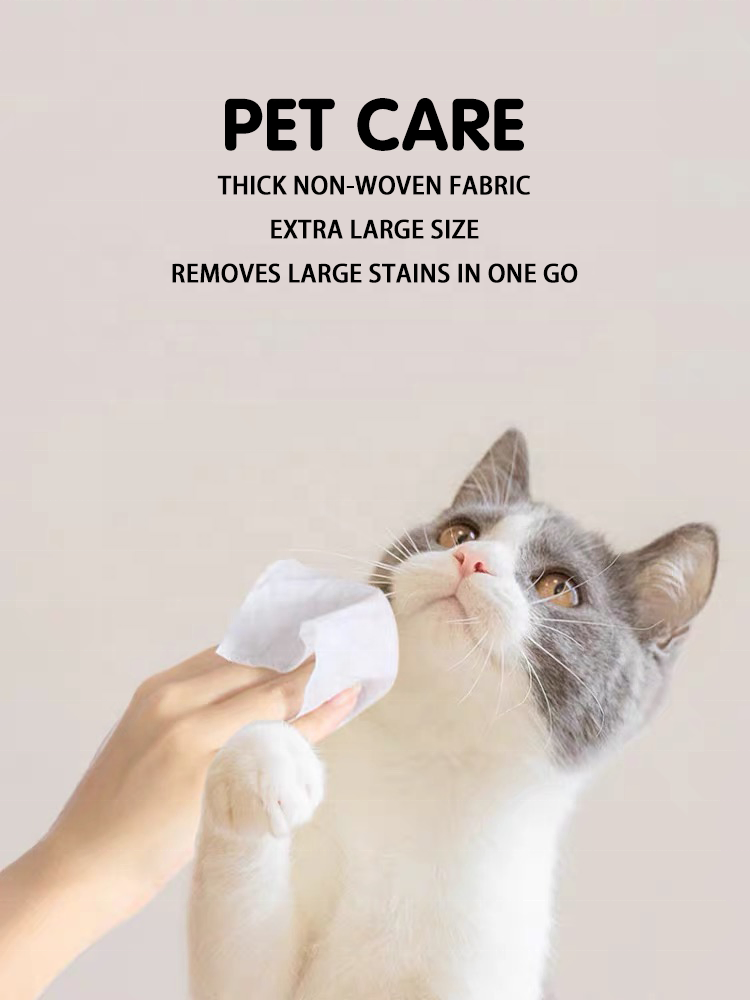 Natural Organic Flushable Pet Wipes for Sensitive Skin