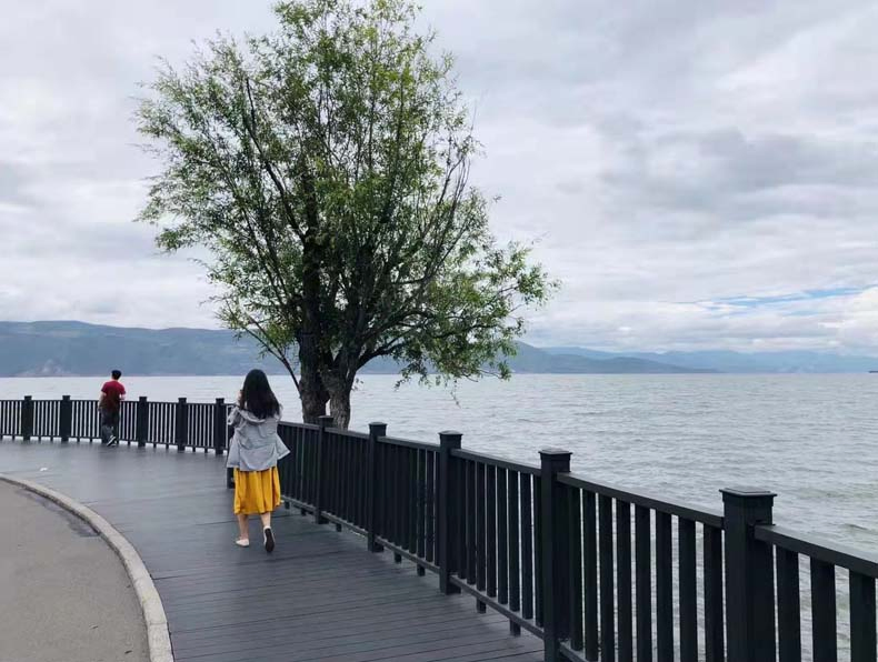 Cheap Wood Plastic Composite Custom WPC Timber Hollow Square Tubes