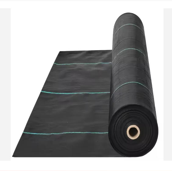 HDPE Mesh Anti-Weed Grass Fabric for Garden Patio Hot Sale Agriculture Weed Control Mat
