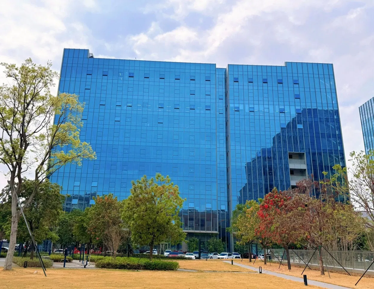 Reliable Outstanding Wind Resistance Steel Structure Facade Metal Glazing Curtain Wall