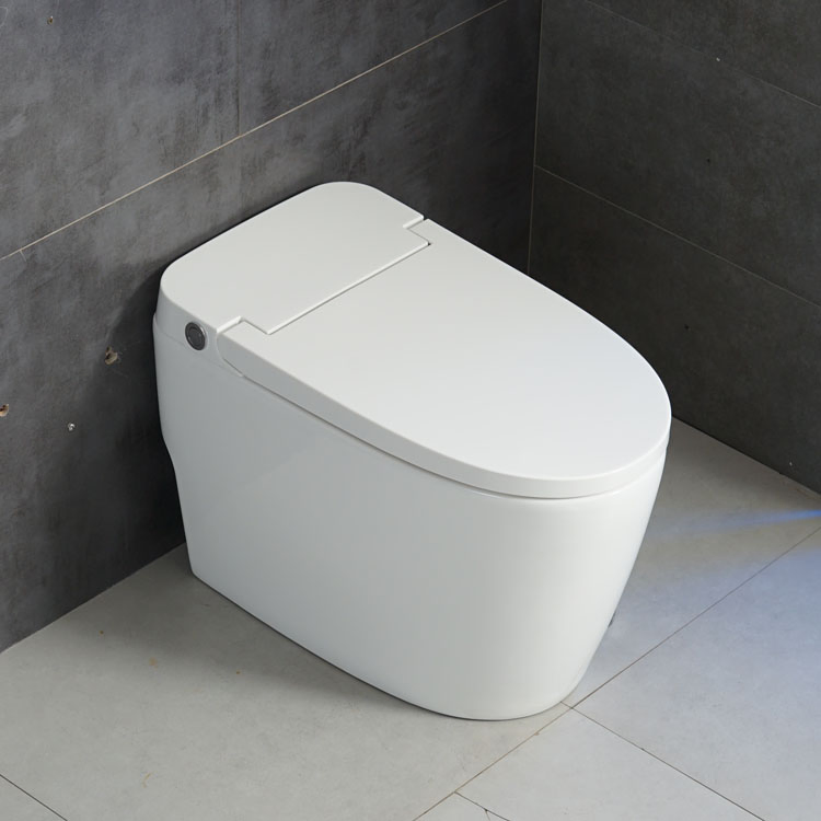 Mechanical Fitting Foot Kick Flush Ceramic Sanitary Toilet